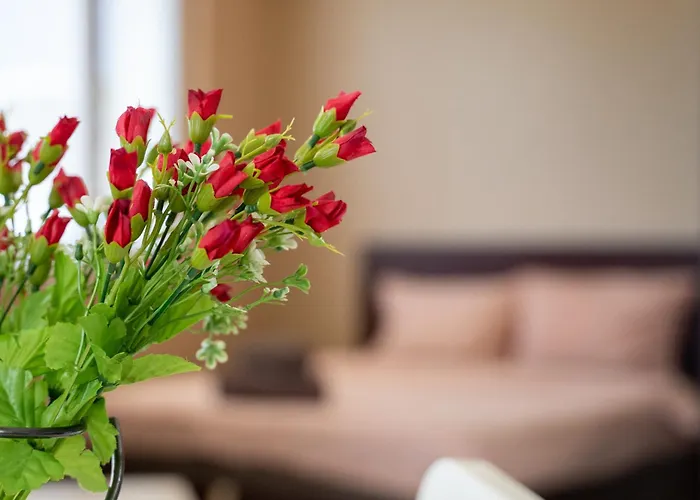 Funky In Studentski Grad