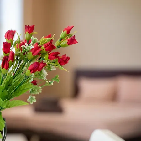 Funky In Studentski Grad